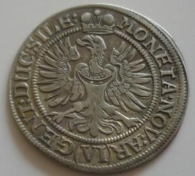 Slezsko - Lehnice - Břeh, Luisa z Anhaltu - VI krejcar 1673*
