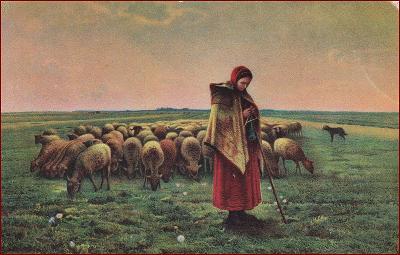 Stengel nr. 29966 * žena, ovce, pastva, umělecká * M6680