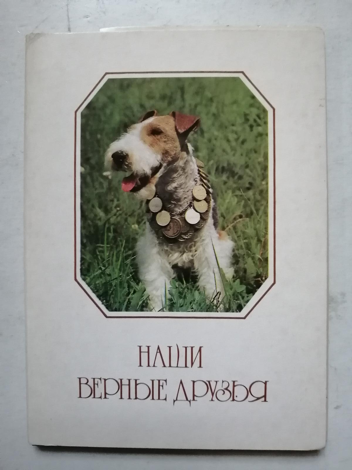 Naši věrní přátelé  - 20 pohlednic kompletní soubor - rusky   PSI  - Starožitnosti a umenie