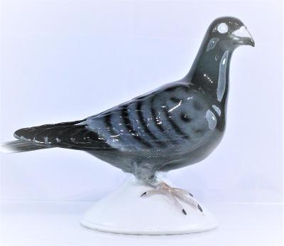 Porcelánový holub
