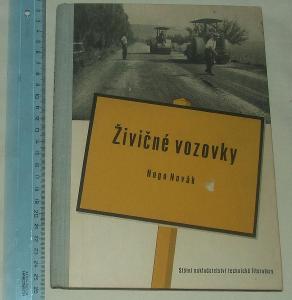 Živičné vozovky - H. Novák - stavba silnice stavební směs výpočet