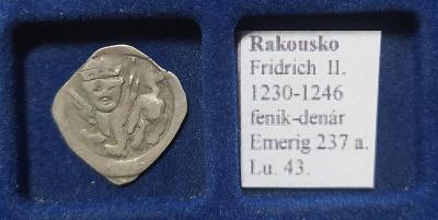 50A306 Rakousko Fridrich II. 1230-1246, fenik-denár Emerig 237 a Lu.43