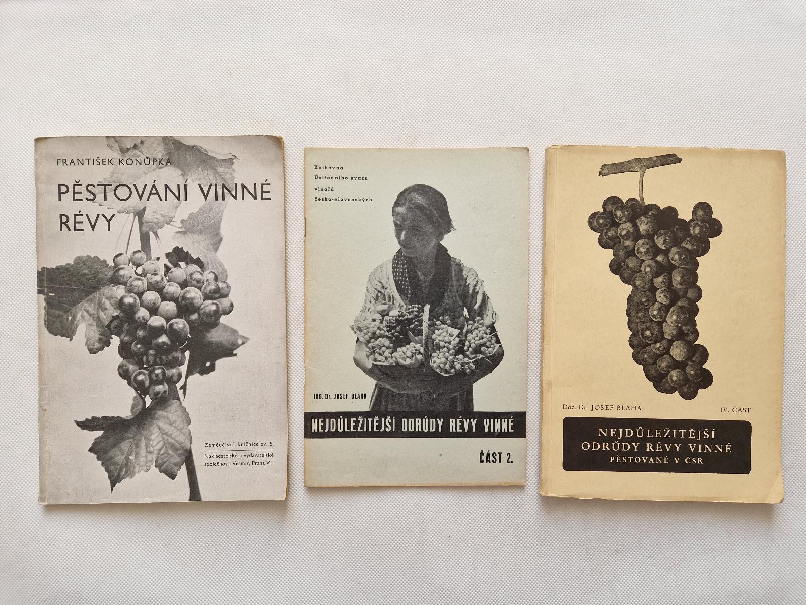 Nejdůležitější odrůdy révy vinné Blaha + pěstování pomologie vinařství - Knihy