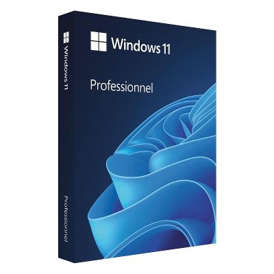 Windows 11 Pro Doživotní Licence