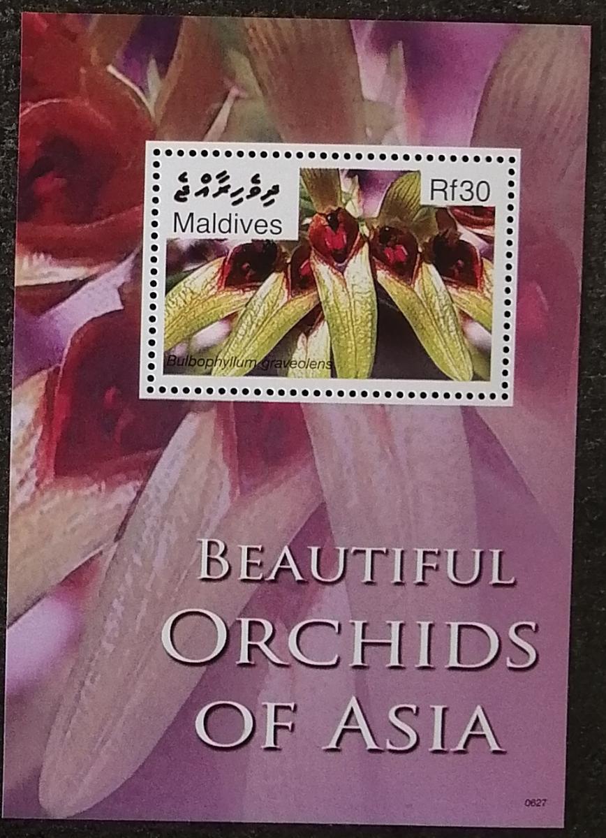 Maledivy 2007 Bl.610 5€ Orchidey a flóra, Bulbophyllum graveolens - Známky