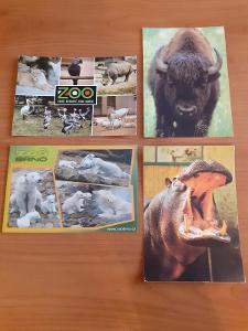 Zvířata (ZOO) - 4 pohlednice VF