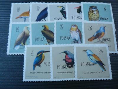 Fauna- ptáci Polsko 1960