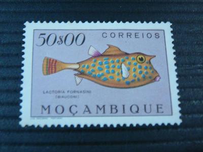 Fauna- ryby Mocambique 1951