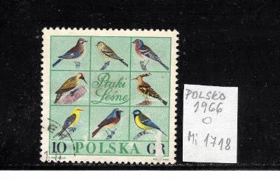 POLSKO - 1966 - Mi 1718 - O   -  fauna - ptactvo
