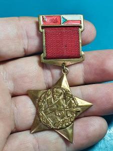 Medaile - Partyzánská skupina Stalin-Partyzánská brigáda M.I.Šukajev 