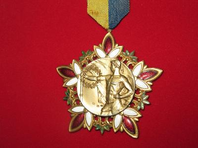 Rakousko - BOX - ZÁPAS - 1930- honosná Ag a smalt medaile Mistr Rakous