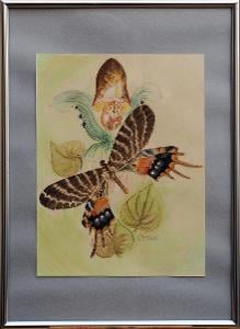 Charitativní aukce pro vodňanskou věž: Ivana Nistlerová – Motýl II.