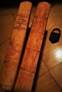 KOMENSKÝ De Rerum Humanarum, PANSOPHIA - 2 objemné staré knihy, kožené
