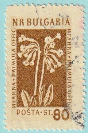 Bulharsko - raz., Mi. 883 (1954) - flóra - od 1 Kč