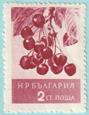 Bulharsko - raz., Mi. 990 (1956) - flóra - od 1 Kč