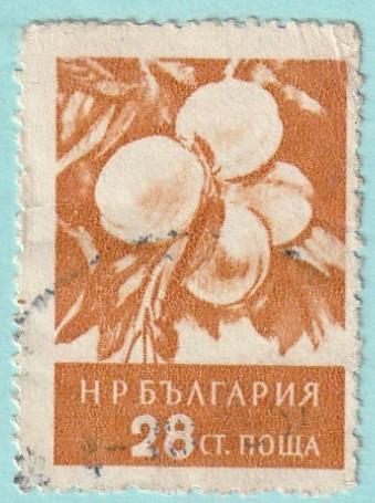 Bulharsko - raz., Mi. 992 (1956) - flóra - od 1 Kč