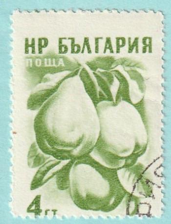 Bulharsko - raz., Mi. 1022 (1957) - flóra - od 1 Kč