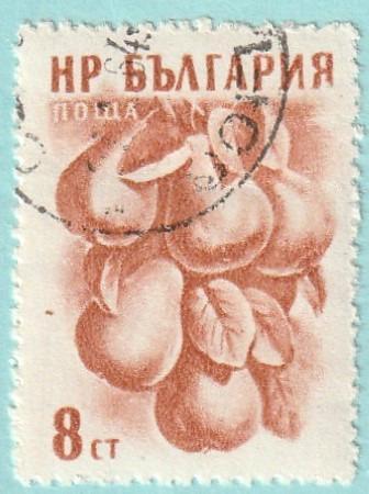 Bulharsko - raz., Mi. 1023 (1957) - flóra - od 1 Kč