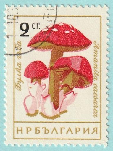 Bulharsko - raz., Mi. 1263 (1961) - flóra, houby - od 1 Kč
