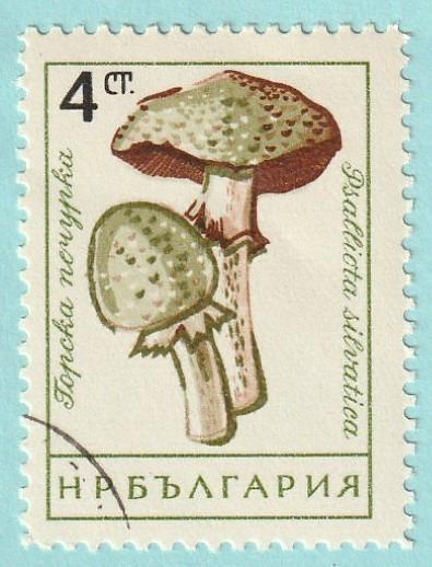 Bulharsko - raz., Mi. 1264 (1961) - flóra, houby - od 1 Kč