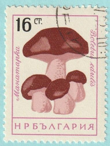 Bulharsko - raz., Mi. 1266 (1961) - flóra, houby - od 1 Kč