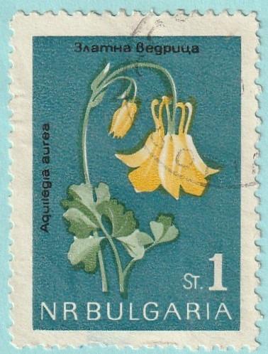 Bulharsko - raz., Mi. 1407 (1963) - flóra - od 1 Kč