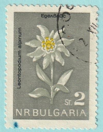 Bulharsko - raz., Mi. 1408 (1963) - flóra - od 1 Kč