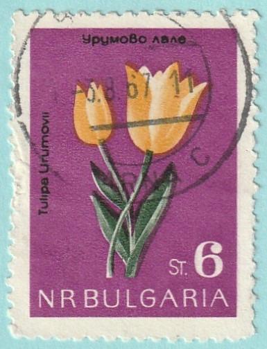 Bulharsko - raz., Mi. 1411 (1963) - flóra - od 1 Kč
