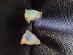 Náušnice s přírodními ohnivými opály  - Strieborné šperky
