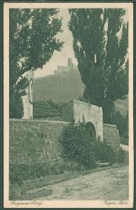 10D6966 K. Streer Dubá : ruina hradu Bezděz, esperanto