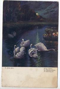 Pohled labutě: „Krásy večera“, A. Jiras