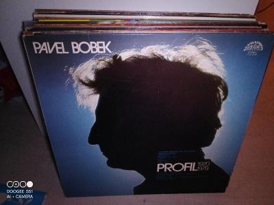 Pavel Bobek – Profil 1970 - 1979