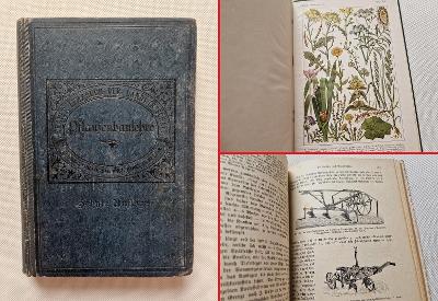 Stará odborná kniha - Pěstování roslin 1918 příručka zemědělství