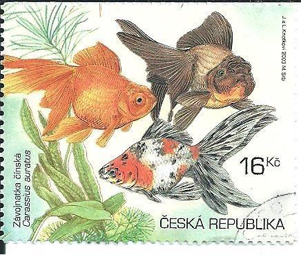 Akvarijní rybky 2003 , raž. zn. k.č. 367. - Známky Československo + ČR