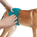 Simple Solution prateľné plienka pre psy (samce) veľkosť medium - Psy a potreby na chov
