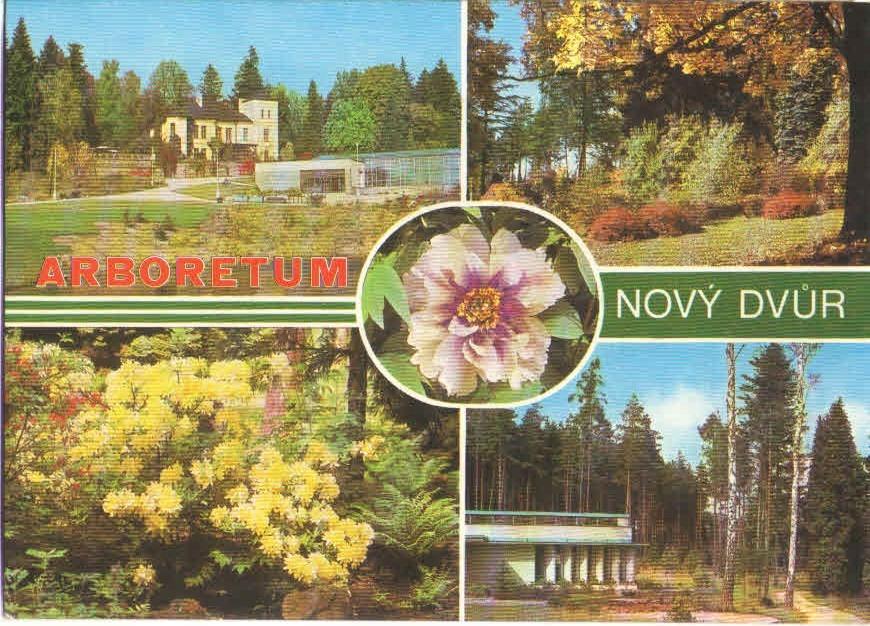 Nový Dvor - 1980 - Arborétum - Pohľadnice miestopis