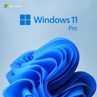 Windows 11 Pro | Original | Online Aktivace 