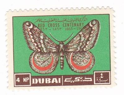 Motýli a můry - Dubaj
