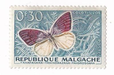 Motýli a můry - Malgašská republika