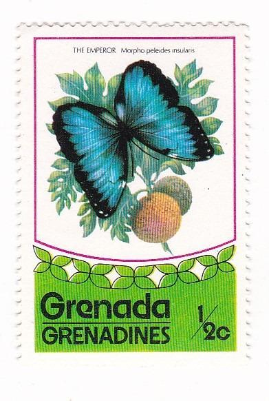 Motýli a můry - Granada 01