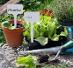 ✨🌱 Štítky k rostlinkám a sazenicím 16x s popisovačem  - Dům a zahrada