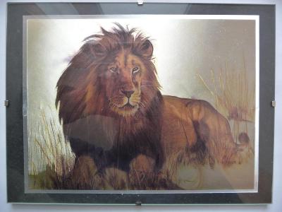 Dekorační obrázek pod sklem - Lev