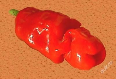PENIS Peter Pepper 15 ks chilli paprika-pošta 0,-