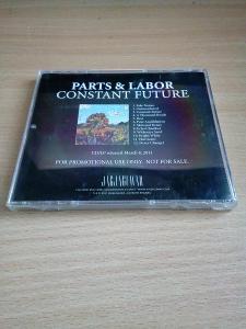 CD Parts and Labor: Constant Future