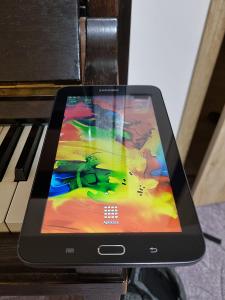 Samsung Galaxy Tab 3 Lite (SM-110) 