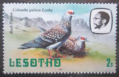 Lesotho 1981 Holub skvrnitý Mi# 331 0371