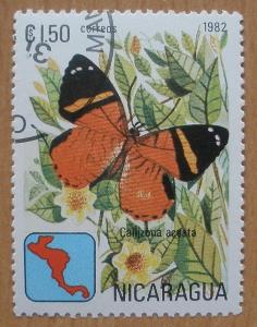 Fauna - Motýli - / ʘ raz. - Nikaragua