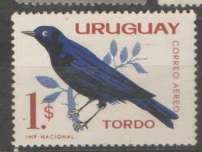 * URUGUAY $1 vlhovec modrolesklý 1962