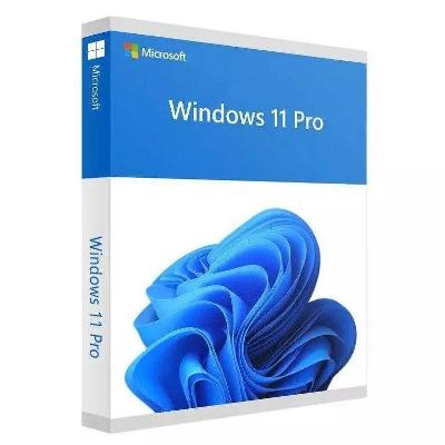 Microsoft Windows 11 Pro - Okamžité doručení