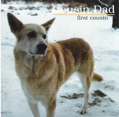 CD COUSIN DAD - FIRST COUSIN / bluegrass